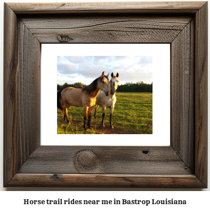 horse trail rides near me in Bastrop, Louisiana